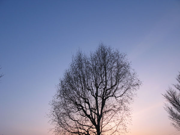 f:id:elmikamino:20100505110834j:image