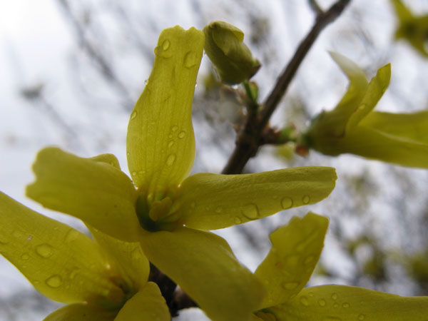 f:id:elmikamino:20100508123142j:image