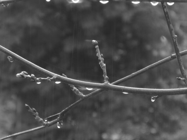 f:id:elmikamino:20100508213351j:image