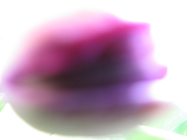 f:id:elmikamino:20100510123840j:image