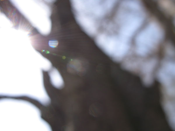 f:id:elmikamino:20100510123843j:image