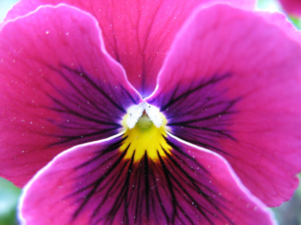 f:id:elmikamino:20100510123848j:image