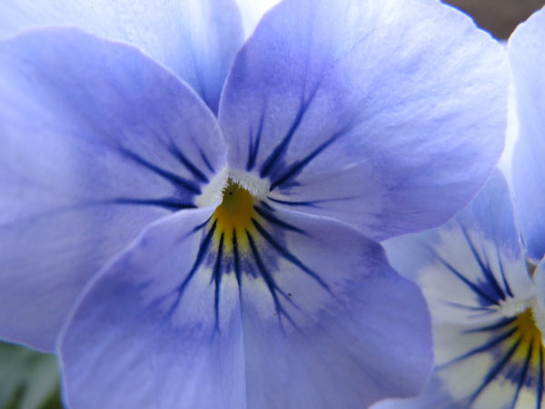 f:id:elmikamino:20100510123852j:image