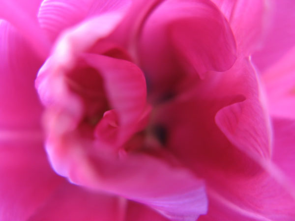f:id:elmikamino:20100510123856j:image