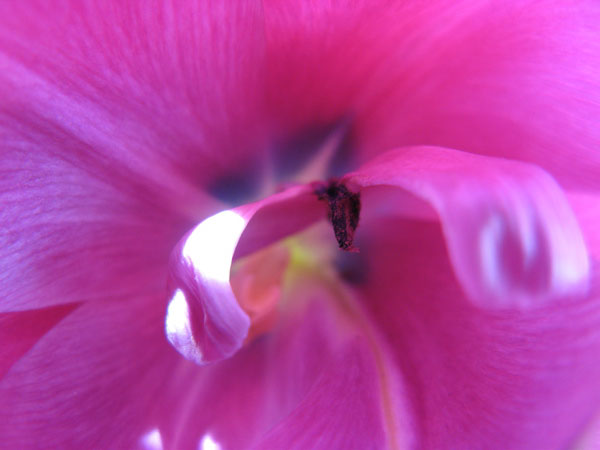 f:id:elmikamino:20100516112036j:image f:id:elmikamino:20100516112036j:image