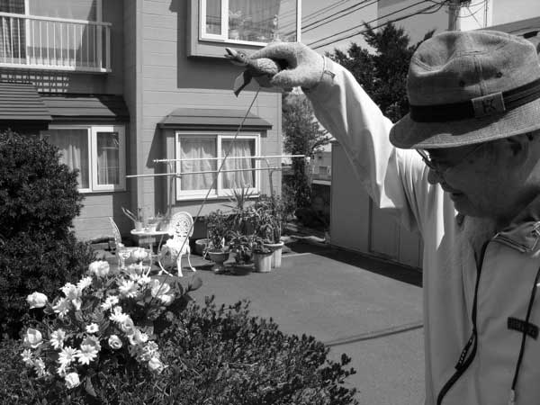 f:id:elmikamino:20100516112046j:image f:id:elmikamino:20100516112046j:image