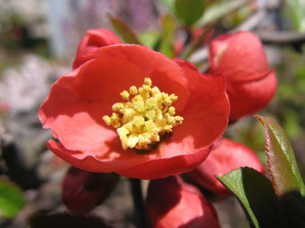 f:id:elmikamino:20100516112048j:image f:id:elmikamino:20100516112048j:image