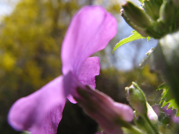 f:id:elmikamino:20100516112049j:image f:id:elmikamino:20100516112049j:image