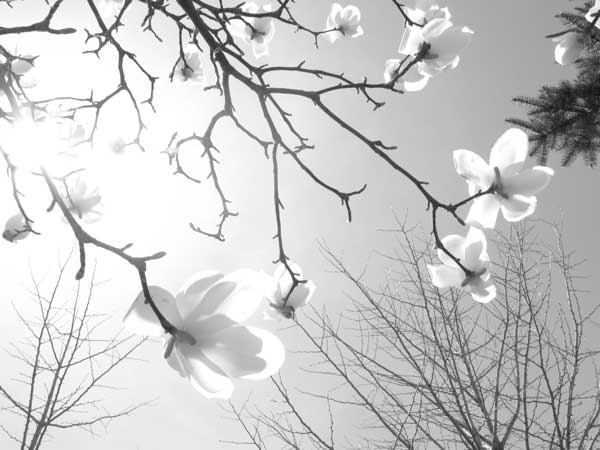 f:id:elmikamino:20100516112052j:image f:id:elmikamino:20100516112052j:image