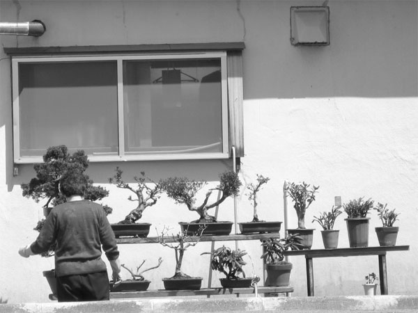 f:id:elmikamino:20100516113925j:image f:id:elmikamino:20100516113925j:image