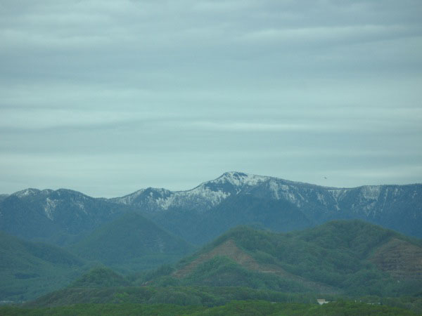 f:id:elmikamino:20100526100532j:image