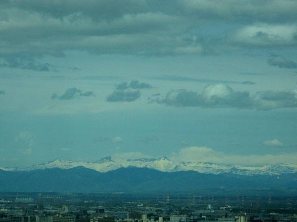 f:id:elmikamino:20100526151805j:image