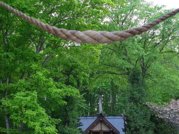 f:id:elmikamino:20100602194830j:image