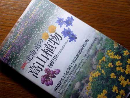 f:id:elmikamino:20100602225233j:image f:id:elmikamino:20100602225233j:image