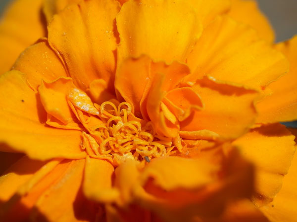f:id:elmikamino:20100608103700j:image