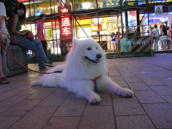 f:id:elmikamino:20100617221758j:image