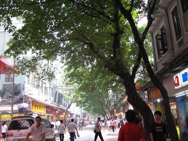 f:id:elmikamino:20100617221807j:image