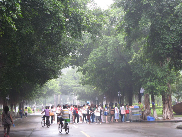 f:id:elmikamino:20100617221820j:image