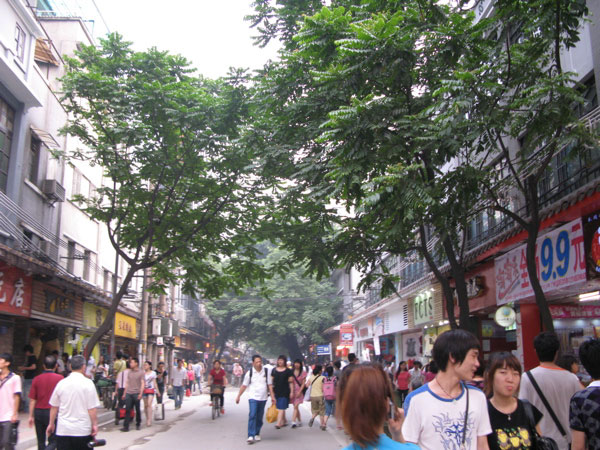 f:id:elmikamino:20100617221823j:image