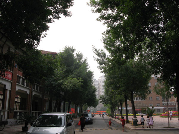 f:id:elmikamino:20100617230543j:image