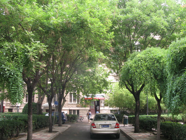 f:id:elmikamino:20100617230558j:image