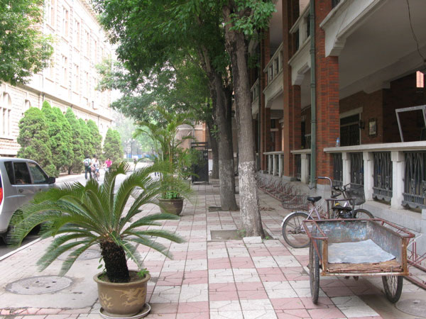 f:id:elmikamino:20100617230602j:image