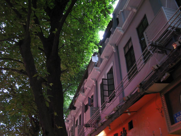 f:id:elmikamino:20100619130540j:image