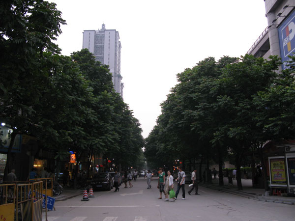 f:id:elmikamino:20100619130544j:image