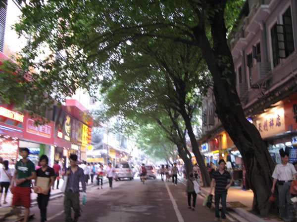 f:id:elmikamino:20100619140438j:image