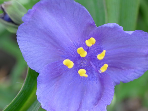 f:id:elmikamino:20100619141932j:image