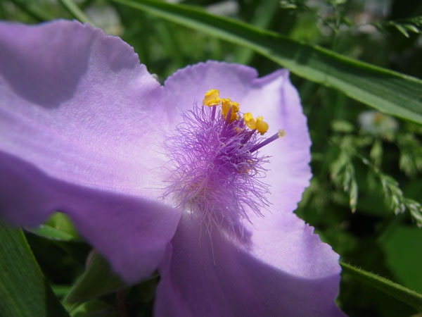 f:id:elmikamino:20100619150347j:image