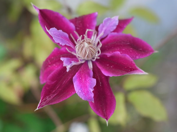 f:id:elmikamino:20100622113255j:image