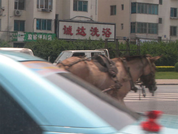 f:id:elmikamino:20100624174211j:image