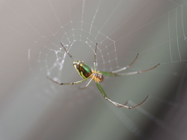 f:id:elmikamino:20100704105142j:image