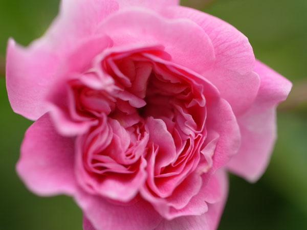 f:id:elmikamino:20100709094927j:image f:id:elmikamino:20100709094927j:image