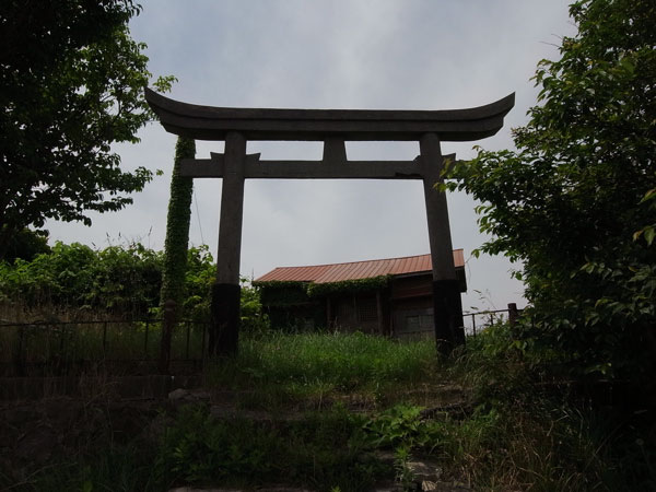 f:id:elmikamino:20100712233234j:image