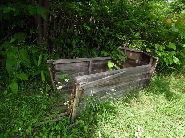 f:id:elmikamino:20100717215749j:image