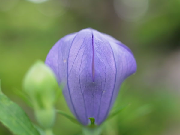 f:id:elmikamino:20100719111831j:image f:id:elmikamino:20100719111831j:image