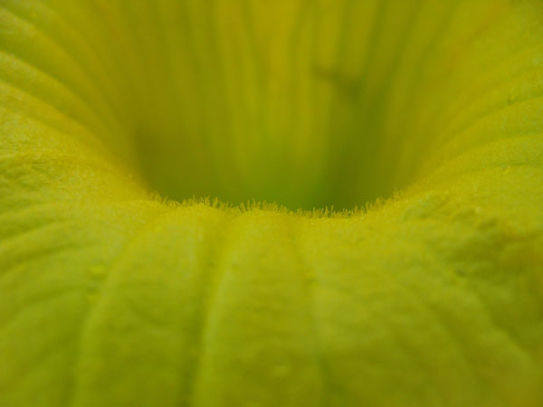f:id:elmikamino:20100724102502j:image