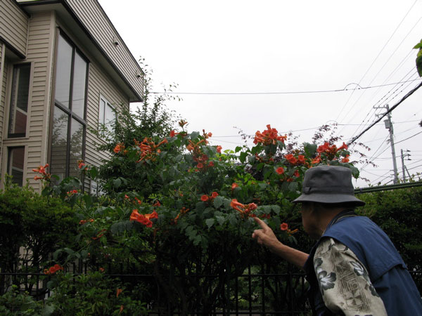 f:id:elmikamino:20100724102503j:image