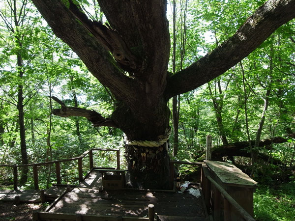 f:id:elmikamino:20100725221232j:image f:id:elmikamino:20100725221232j:image
