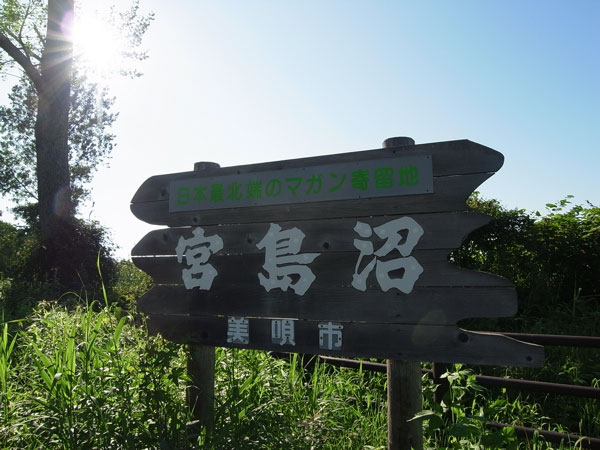 f:id:elmikamino:20100725221236j:image f:id:elmikamino:20100725221236j:image