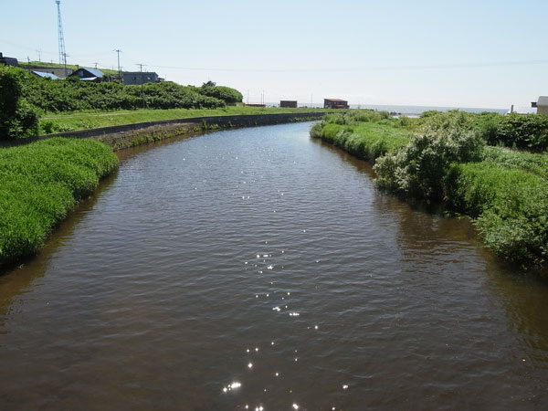 f:id:elmikamino:20100725221238j:image f:id:elmikamino:20100725221238j:image