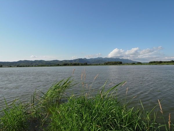 f:id:elmikamino:20100725221240j:image f:id:elmikamino:20100725221240j:image