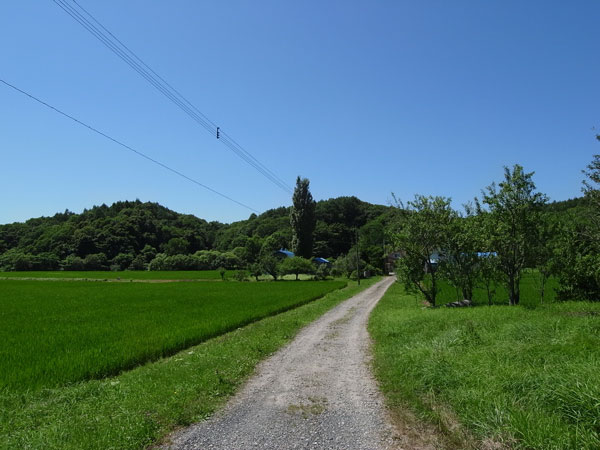 f:id:elmikamino:20100725221242j:image f:id:elmikamino:20100725221242j:image
