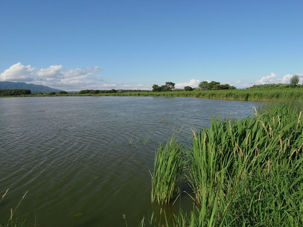 f:id:elmikamino:20100725221244j:image f:id:elmikamino:20100725221244j:image