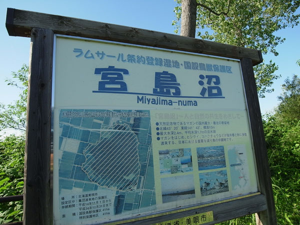 f:id:elmikamino:20100725231901j:image f:id:elmikamino:20100725231901j:image