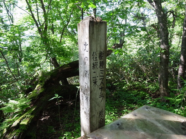 f:id:elmikamino:20100725231904j:image f:id:elmikamino:20100725231904j:image