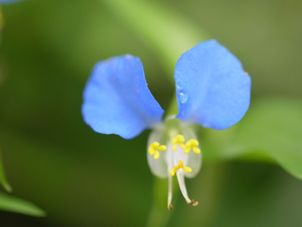 f:id:elmikamino:20100728105939j:image f:id:elmikamino:20100728105939j:image