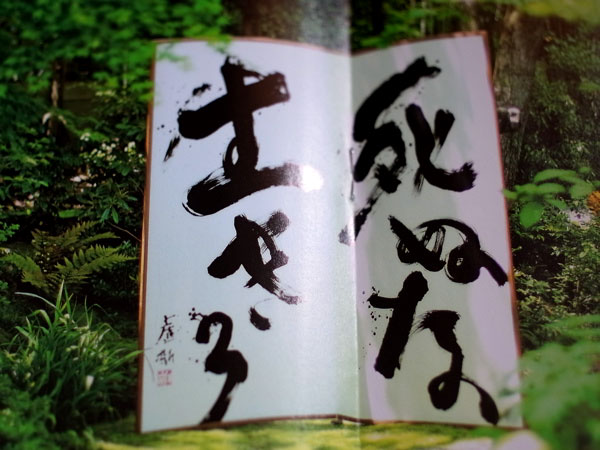 f:id:elmikamino:20100728124604j:image